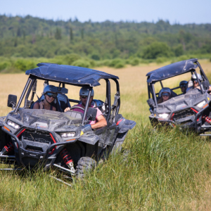 Buggy off road tour safari