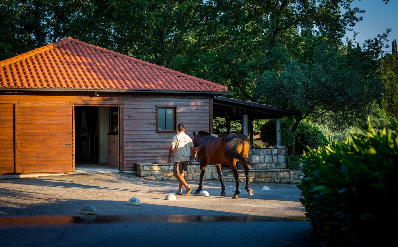 KOJAN KORAL HORSE STABLE